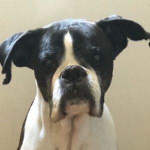 Meet your Posher, Marcy